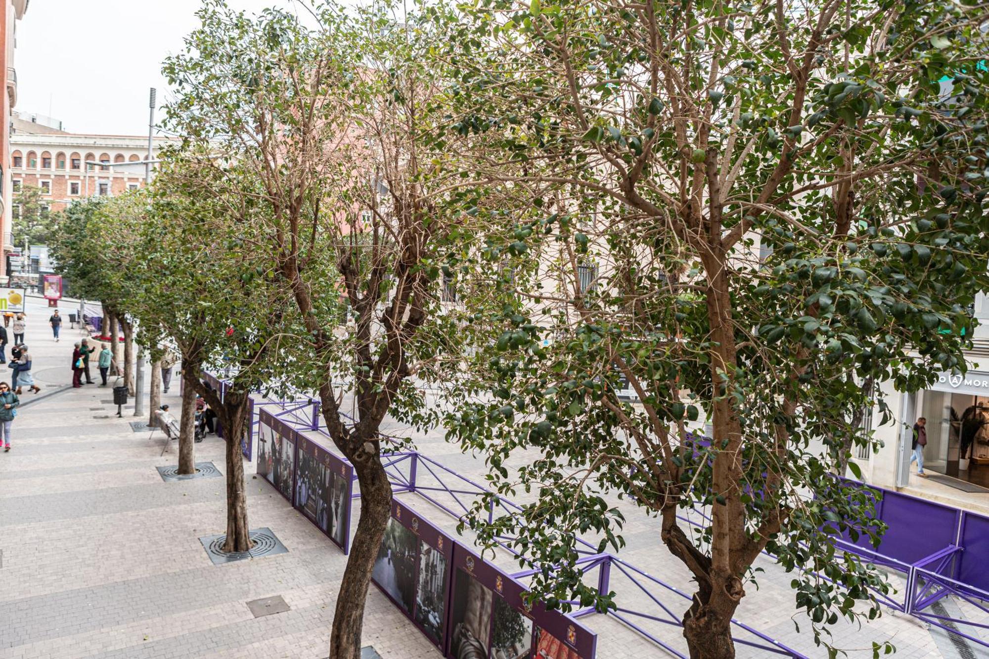 Royar Apartamentos Jaen Bagian luar foto